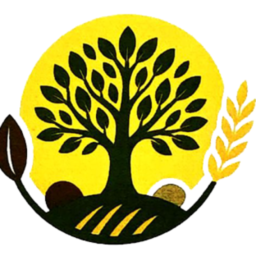 شركة السدرة